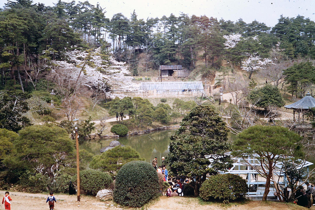 Japan 1954