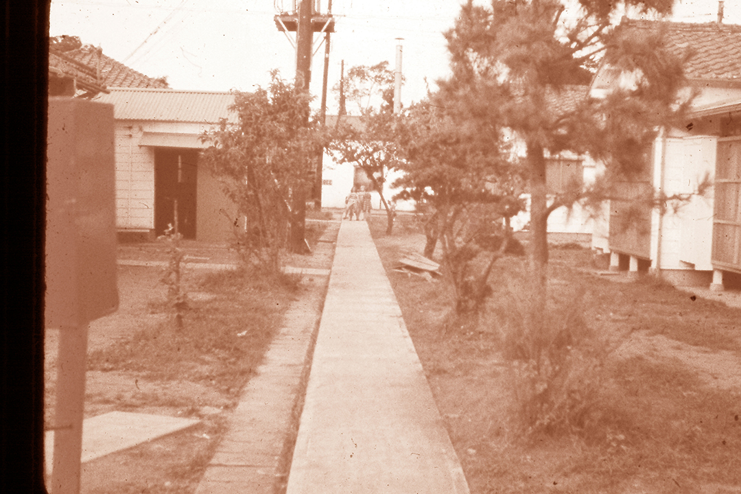 Japan 1954